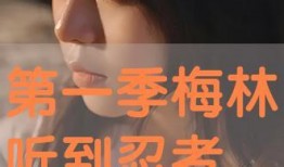 听见在线观看,揭秘声音背后的故事